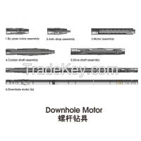 Downhole Motor