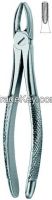 Dental Extracting Forceps
