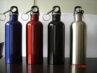 Stainless Steel Bottle