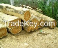 Keruing, Teak, Mersawa Logs from Lao