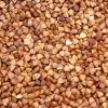 Roasted Buckwheat Kernels