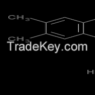 Ã¢ï¿½ï¿½Vitamin B2/Riboflavin