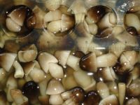 Straw mushroom in brine/Salted mushroom/Ms.Hanna	 From Vietnam
