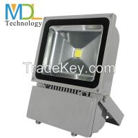 LED Flood Light