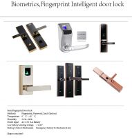Biometric Fingerprint Door Lock