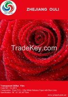 Glitter Lamination Film