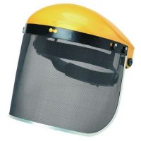 Faceshield Assembly, Mesh Visor