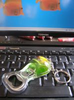 Keychain