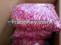 Fresh Cut Arali, Jasmine Flowers