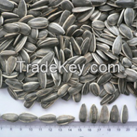 Hulled And Natural Sunflower Seeds Available