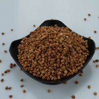 Wholesale Organic Raw Buckwheat Grain Vacuum Pack Non-gmo Buckwheat Kernels From South Africa