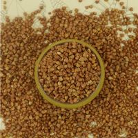 Organic Buckwheat Hulls Sweet Roasted Buckwheat Wholesale Raw Buckwheat Hulls From South Africa