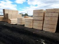 High Quality Timber Logs Teak Timber