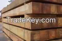 Siberian Soft Larch