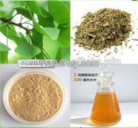 GINKGO BILOBA EXTRACT flavones 24% lactones 6% ginkgo biloba extract supplier