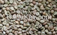 Robusta And Arabica Coffee Beans