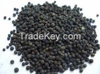 Dried Black Peper 500gl/ Black Pepper 550gl