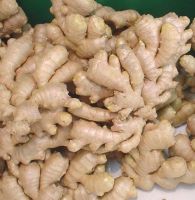 Vietnam Fresh ginger