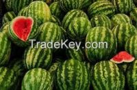 Water Melon.