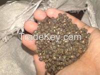 Black Matpe Beans (thailand)