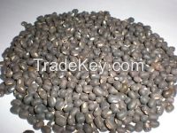 Black Matpe Beans (thailand)