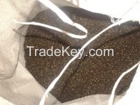 Black Matpe Beans (thailand)