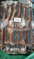 Health Food Frozen Illex Squid With High