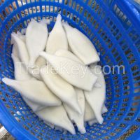 Frozen squid tube