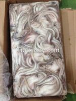 Illex Argentina Squid Tentacle 400-600g
