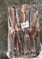 Frozen Illex Squid 100-150g,