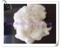 Polyester Staple Fiber