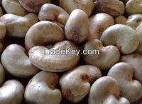 Raw Cashew nuts from Africa 