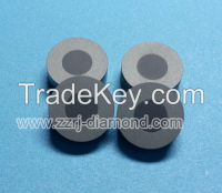 Tungsten Carbide Ring Supported Round Diamond/ PCD Wire Drawing Die Blanks