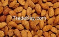 Almonds From Thailand