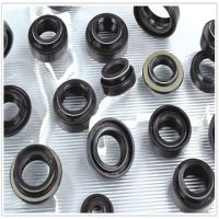 Oil Seal