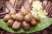 sweet chinese peeled roasted chestnuts