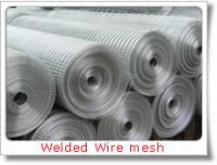 Welded Wire Mesh From China