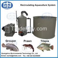 Aquaculture System Fish Farming of Barramundi Fish Farm