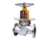 Oxygen pipe globe valve