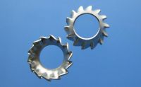 conical  external teeth serrated lock washers