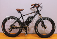 Fat Tyre Strong Motor Electric Bicycle with CE Approval