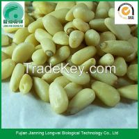 Chinese wholesale raw shelled pine nuts prices