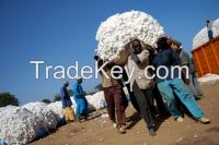 cotton fibre