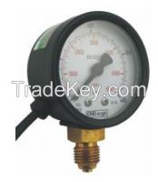 Sensor Gauge