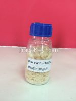 Insecticide-Hot Sale Chlorpyrifos 97%TC