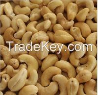 Premium Quality Raw Cashew Nuts