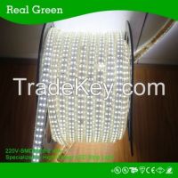 220v Smd3528 2 Row Led Strip Light