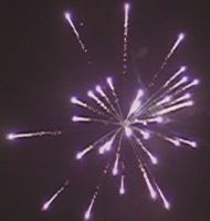 Fireworks "peony&quot