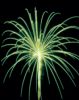 Firewords "dahlia&quot