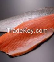 LIVE NORWEGIAN ATLANTIC SALMON /TIMMED SALMON
